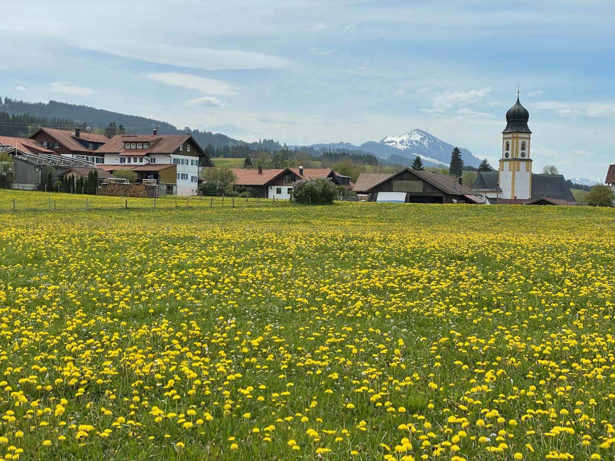 Apartment Seehenswert Familienfreundlich Mit Pool, Tischtennisplatte & Koenigscard Bis Zu 8 Personen In Seenaehe Oy-Mittelberg
